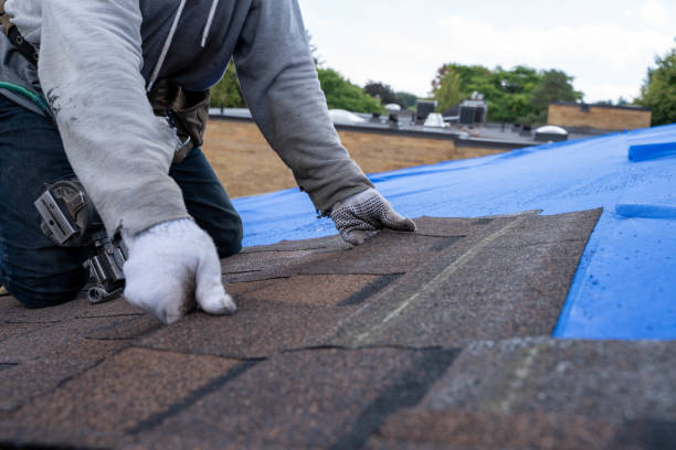 Best Roof Waterproofing Services  in Hiawatha, KS